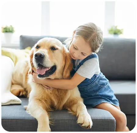 Furniture Cleaning- Costantino's Cleaning Services
